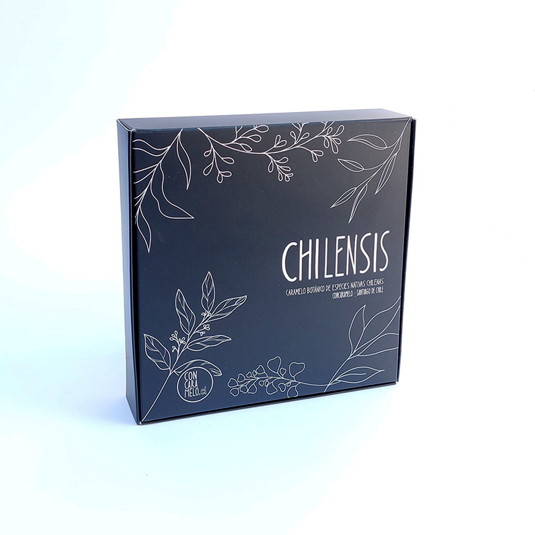 Chilensis